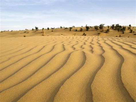 Thar Desert | Map, Climate, Vegetation, & Facts | Britannica