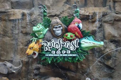 Rainforest: Reservations Rainforest Cafe Downtown Disney