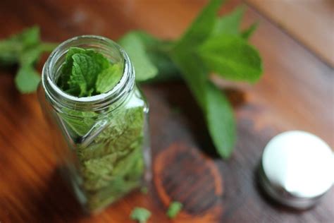 diy peppermint oil (Na-Da Farm) repels mosquito and larva when camping | Homemade body care ...