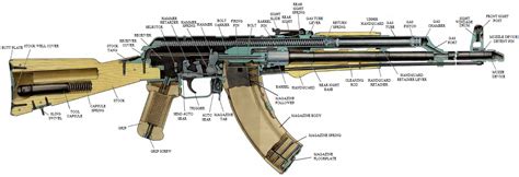 Differences Between AK-47, AK-74, AKM, AK-101, and AK-12