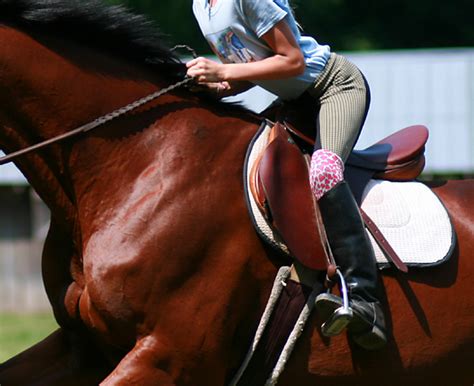 English Riding Camp | Rockbrook Horseback Summer Camp