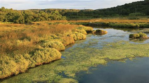 Menorca, Biosphere Reserve