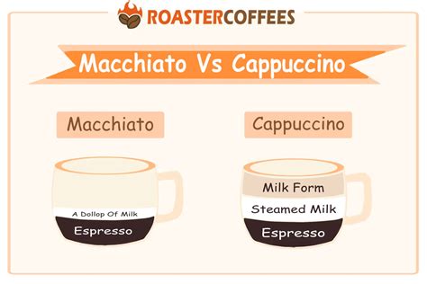 Macchiato Vs Cappuccino: What's the Difference? - ROASTER COFFEES