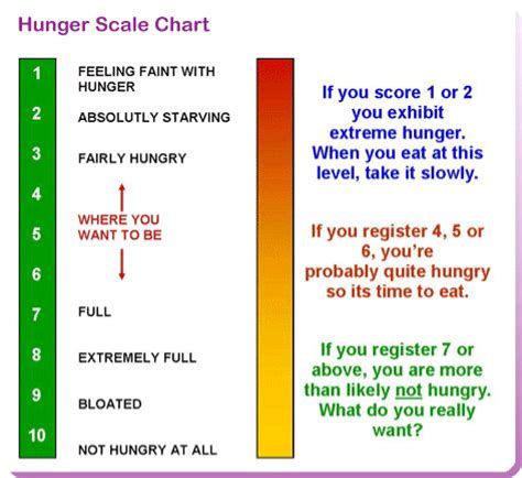 Use this Hunger Scale Chart to find out how hungry you really are | Eat like a Skinny Person and ...