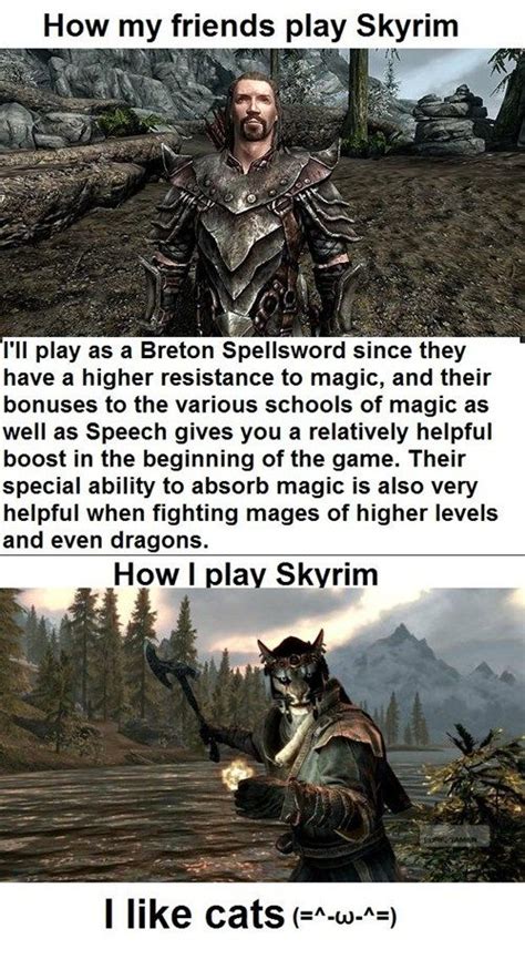 Funny Skyrim Memes