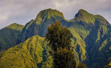 Virunga National Park - Ventes Ventures