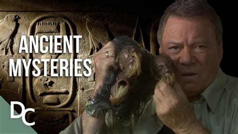 The 7 Best William Shatner Documentaries - Documentarytube.com