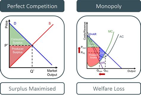 Monopoly Graph Consumer Surplus