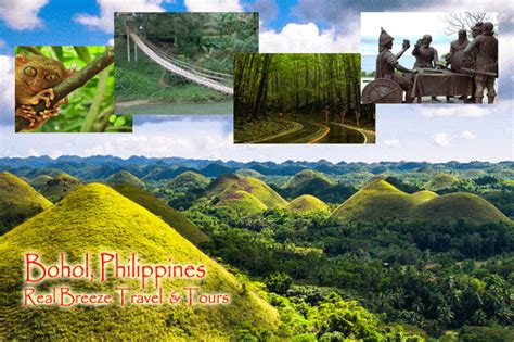 Cebu Bohol Tour Packages | Moalboal, Oslob, Malapascua | Philippines