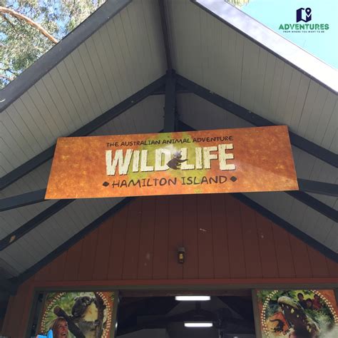 Buffet breakfast - Hamilton Island Wildlife Park - Adventures from ...