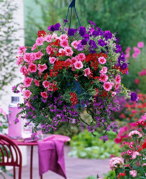 Best plants for hanging baskets: 10 picks for stunning displays up high | GardeningEtc