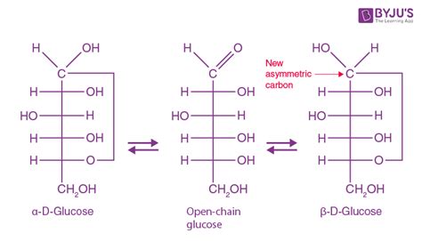 Linear Glucose Molecule