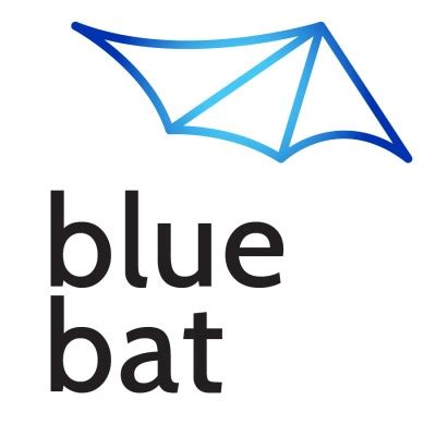 Cecilia Kembel on LinkedIn: Blue Bat Design | LinkedIn