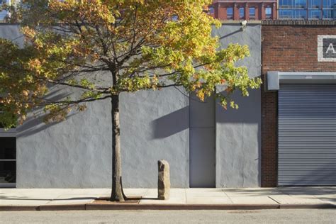 Joseph Beuys 7000 Oaks | Visit | Dia | Basalt stone, Land art, Oaks