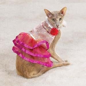 Amazon.com : Cat Costume - Princess Cat Halloween Costume - One Size Fits All : Pet Costumes ...