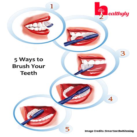 5 Steps to brush your teeth properly for a healthy mouth - Healthyly