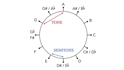 What Is an Octave in Music? Definition, Uses and Examples