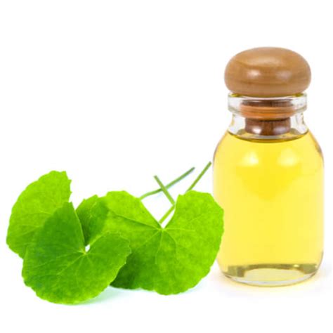 Centella Asiatica Extract G (PG) - Sensitive Ingredients | CTKCLIP