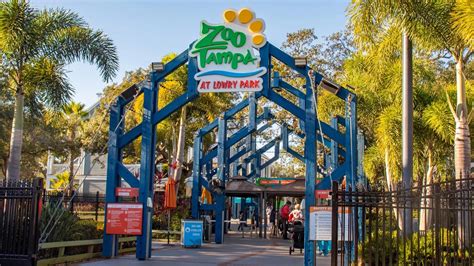 ZooTampa celebrates over 1 million guests in 2021 along with conservation achievements | InPark ...