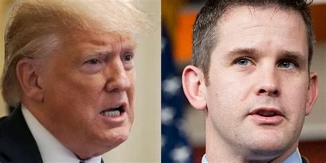 Adam Kinzinger Tells Trump to Stop Amplifying Lies About Voter Fraud ...