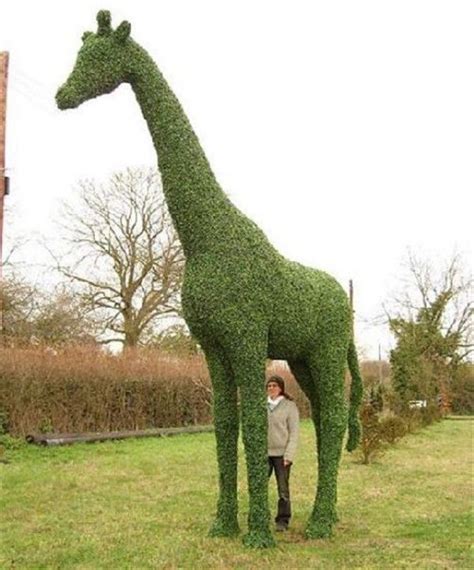 Animal Topiary Ideas for Amazing Gardens | Topiary garden, Sustainable living garden, Topiary