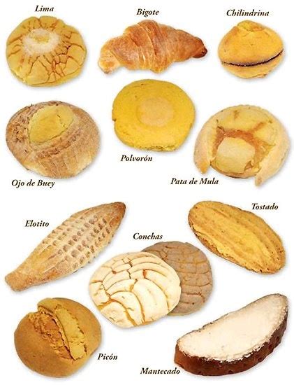 Mexican bread names | Panes dulces mexicanos, Pan mexicano, Pan de dulce