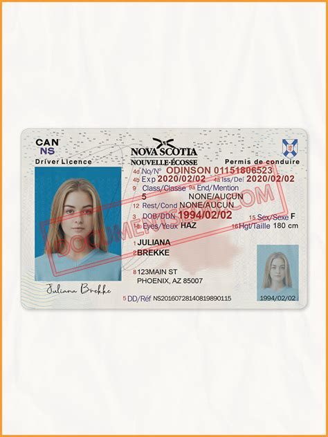 Nova Scotia (NS) Drivers License Template PSD - Documents Edit