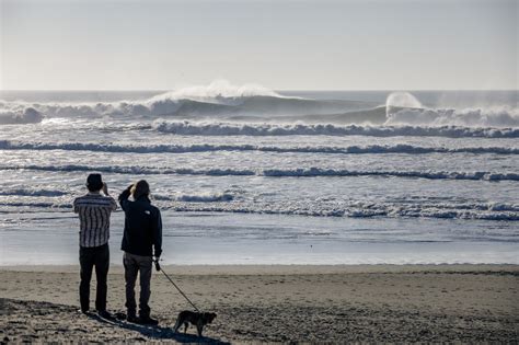 Ocean Beach Dog Beach - LaJolla.com