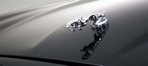 Jaguar leaper | Arden: New Jaguar hood ornament