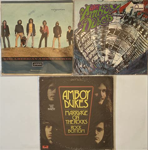 Lot 138 - THE AMBOY DUKES - LP COLLECTION