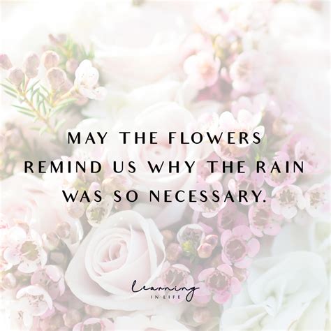 May the flowers remind us... - Learning In Life | Flower quotes, Reminder, Pretty phone wallpaper