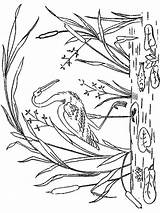 Ausmalbilder Storch  Malvorlagen Kostenlos Zum Ausdrucken sketch template