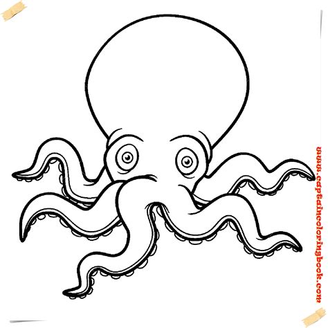 Octopus Printable Coloring Pages