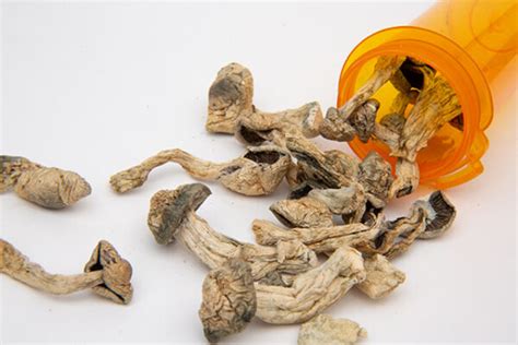 Guide to dosing psilocybin | Heally