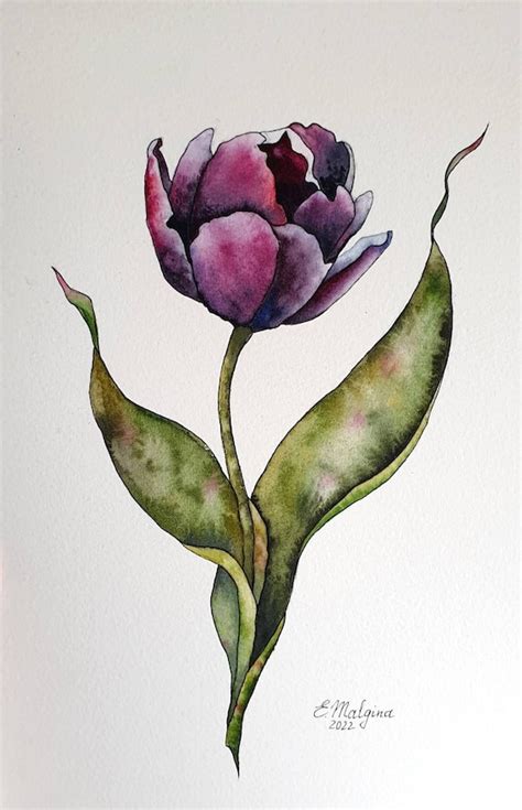 Black Tulip Flower Painting Original Botanical Watercolor - Etsy