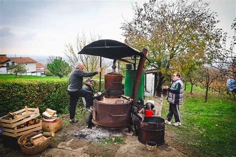 How to make rakija in 10 steps according to Croatian locals