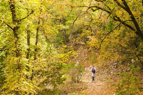 LOST MAPLES STATE NATURAL AREA – Hiking Texas