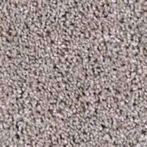 TrafficMaster 8 in. x 8 in. Texture Carpet Sample - Founder -Color Forerunner PH-240598 - The ...