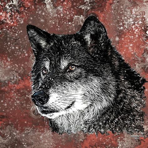 Wild Dark Wolf Digital Art by Artful Oasis | Fine Art America