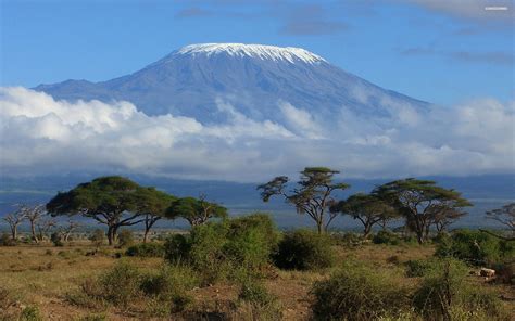 JORDAN & OLI TO CLIMB MT KILIMANJARO – Horizon Supply Co.