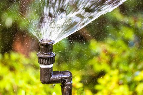 Signs You Need a Sprinkler System Repair - Maxum Irrigation & Plumbing ...