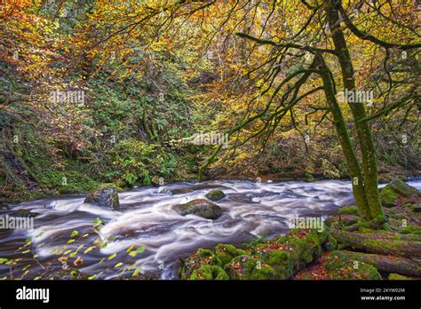 The Birks of Aberfeldy Stock Photo - Alamy