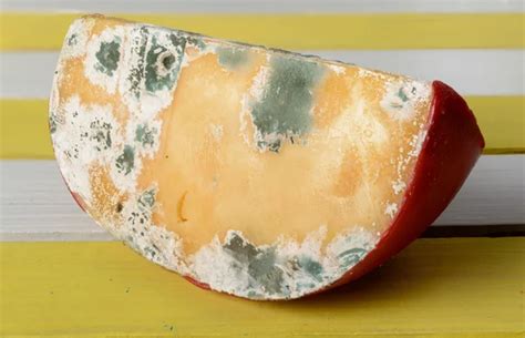 Moldy cheese — Stock Photo © marinakutukova #77136907