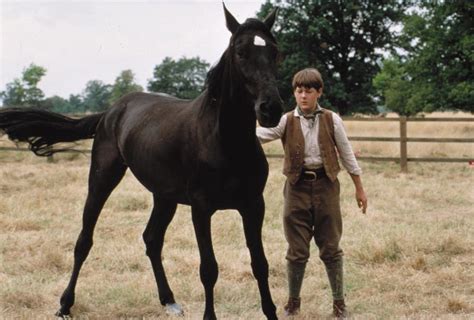 Black Beauty (1994) Still - Horses Photo (39897513) - Fanpop