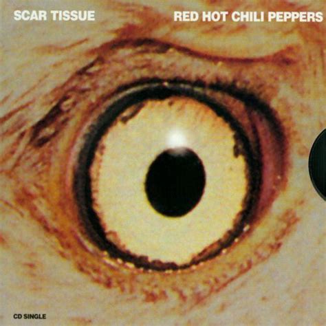 Red Hot Chili Peppers - Scar Tissue (CD) at Discogs