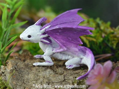 Purple Axolotl