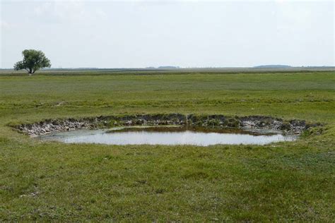 WW2 bomb craters are a home to rare and vulnerable animals | New Scientist