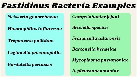 Fastidious Bacteria Examples - RBR Life Science