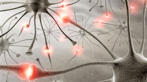 Logran 'reconectar' un grupo de neuronas dañadas por una enfermedad neurodegenerativa | UNAM Global