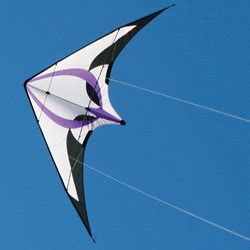 Into the Wind Spectre Kite at WindPower Sports Kites